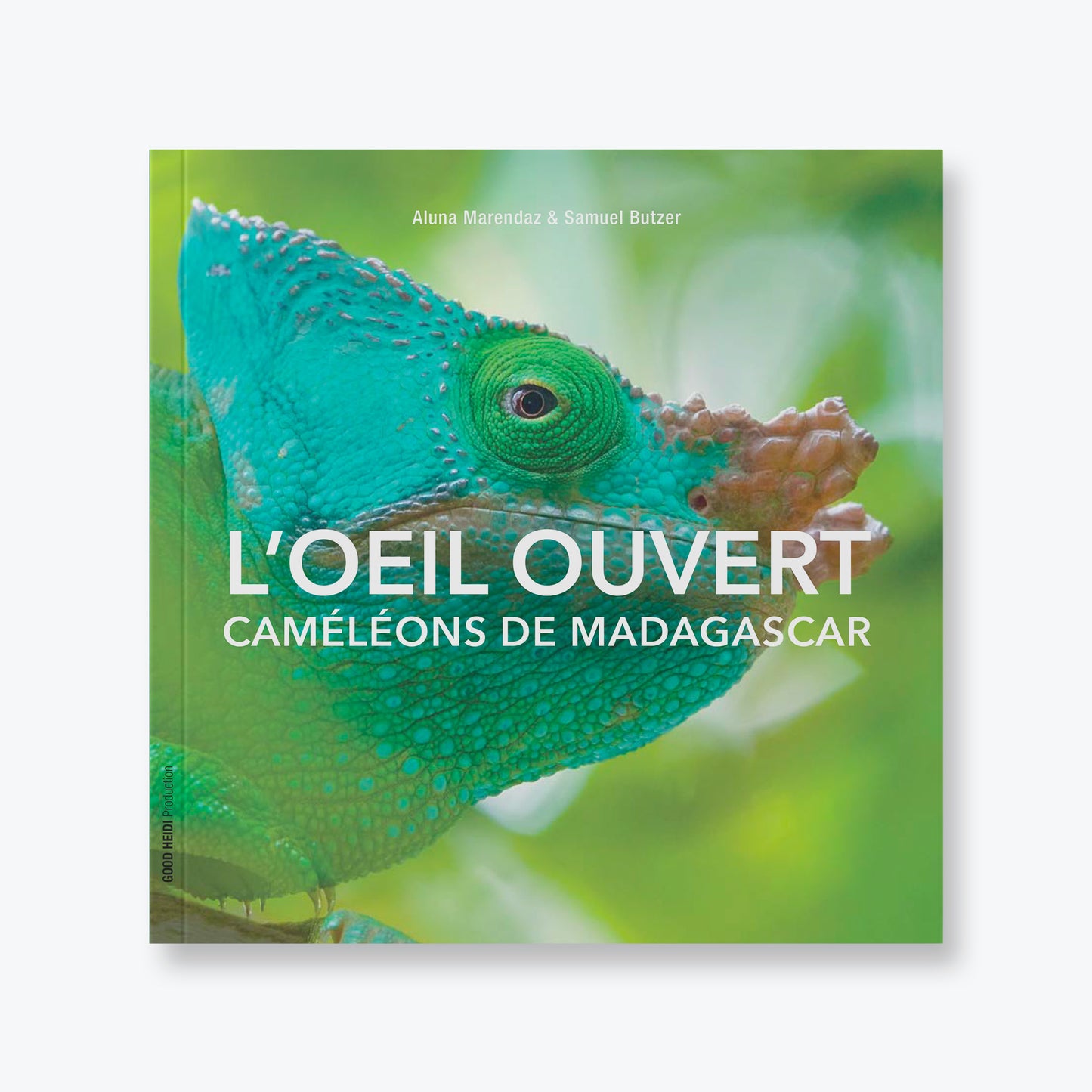 L'œil ouvert